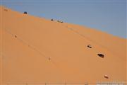LIWA Moreeb Dune Abu Dhabi