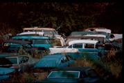 American Cars Junk Yard - foto 1 van 106