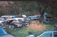 American Cars Junk Yard