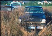 American Cars Junk Yard