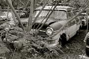 Old Car City - White - GA