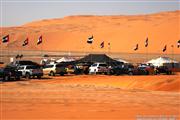 LIWA Moreeb Dune Abu Dhabi - foto 2 van 59