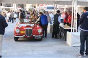 Mille Miglia 2014