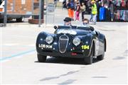 Mille Miglia 2014