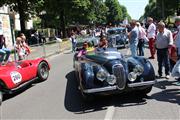 Mille Miglia 2014