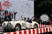 Mille Miglia 2014