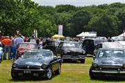 British Autojumble Waalwijk