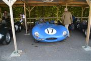 Goodwood Revival  by Elke