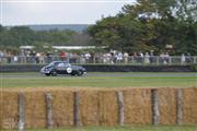 Goodwood Revival  by Elke