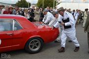 Goodwood Revival  by Elke