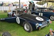 Goodwood Revival  by Elke