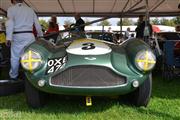 Goodwood Revival  by Elke