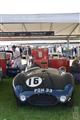 Goodwood Revival  by Elke