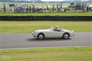 Goodwood Revival  by Elke