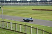 Goodwood Revival  by Elke