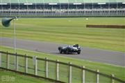 Goodwood Revival  by Elke