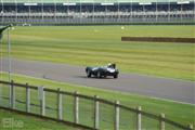 Goodwood Revival  by Elke