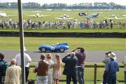 Goodwood Revival  by Elke