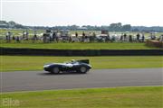 Goodwood Revival  by Elke