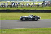 Goodwood Revival  by Elke