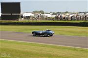 Goodwood Revival  by Elke