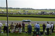 Goodwood Revival  by Elke