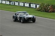 Goodwood Revival Meeting 2014