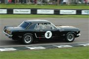 Goodwood Revival Meeting 2014