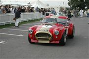 Goodwood Revival Meeting 2014