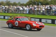 Goodwood Revival Meeting 2014