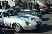 73rd Goodwood Members Meeting