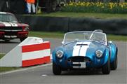 73rd Goodwood Members Meeting