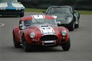 73rd Goodwood Members Meeting