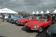 73rd Goodwood Members Meeting