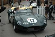 73rd Goodwood Members Meeting