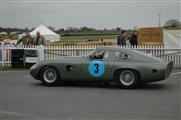 73rd Goodwood Members Meeting