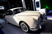 80 Years Jaguar @ Autoworld