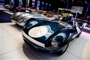 80 Years Jaguar @ Autoworld - foto 30 van 225