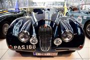 80 Years Jaguar @ Autoworld