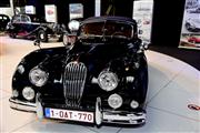 80 Years Jaguar @ Autoworld