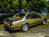 Autotron Rosmalen: de oldtimers en youngtimers buiten