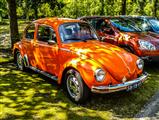 Autotron Rosmalen: de oldtimers en youngtimers buiten