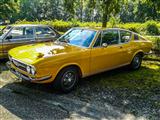 Autotron Rosmalen: de oldtimers en youngtimers buiten