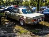 Autotron Rosmalen: de oldtimers en youngtimers buiten