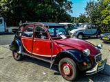 Autotron Rosmalen: de oldtimers en youngtimers buiten