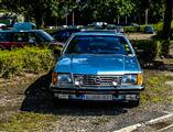 Autotron Rosmalen: de oldtimers en youngtimers buiten