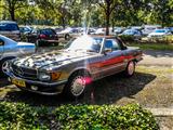 Autotron Rosmalen: de oldtimers en youngtimers buiten