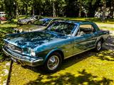 Autotron Rosmalen: de oldtimers en youngtimers buiten