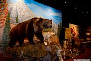 Blackhawk Museum - Danville CA USA