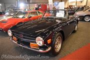 Flanders Collection Car